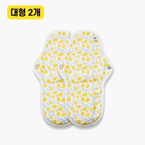 퀸비스토어,[퀸비 패드] 완벽 흡수 순면 생리대 대형 2개